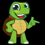 Süße kleine Schildkröte