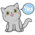 cute cat ❤️❤️