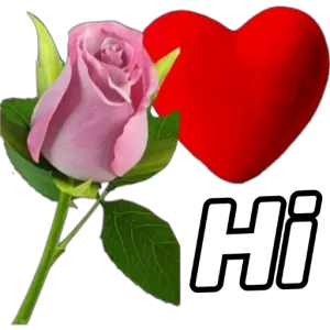 Hi - getsticker.com