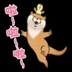 小玩笑小水獺--好耶！