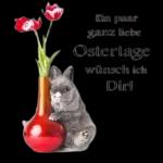 Frohe Ostern😘