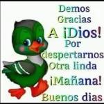 Qué DIOS te proteja, Te bendiga y te respalde en todo lo que hagas 