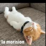 Los mejores