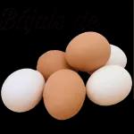  Quien te
dio
permiso?