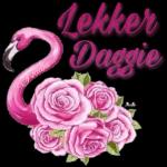 God Bless
Riana Berger
you