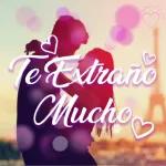 11.10Figurinha de amor
