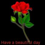 best wish for you