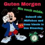hallo morgen