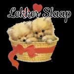 Lekker Slaap