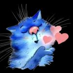 Blaue Katze+ Herz