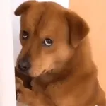 no ma