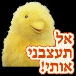 פורימיות