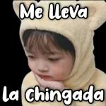 MEMES 