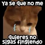 hasta la vista infieles