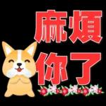 可愛柯基- 實用日常用語