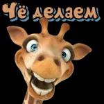 люблю