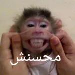 ههههههههههه 