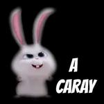 Con amor para ti