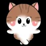 Cats! For reply