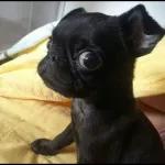 OJITOOOOO