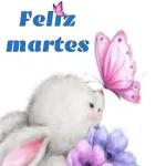feliz martes