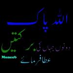 Hussain 