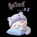 แมวฮิปโปสุดน่ารัก : คุยกันทุกวัน(BIG)