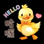 黃毛鴨