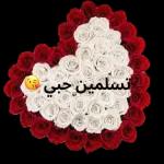حبيبي 