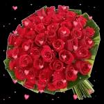 Love கீழ PHI