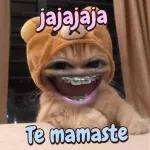 jajajaja Te mamaste