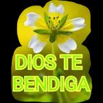 bendiciones