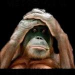 OTRANO SAMUAD ESTÁ MAL....PERO NO TAN MAL 