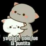 Holaaa