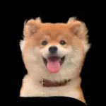 Please smile😊😊