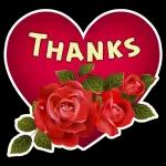 My love 🌹🌹🌸🌸🌷🌷