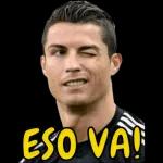 Capturar tus estupidez