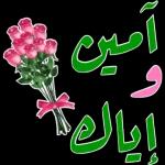 🤣🤣🤣🤣🤣🤣