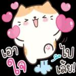 เอา
ไป
เลย!