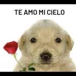 TE AMO MI CIELO