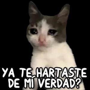 YA TE HARTASTE DE MÍ VERDAD? - getsticker.com