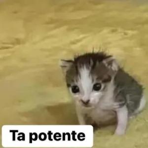 c7JupE