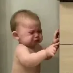 The bear stands on two legs and looks to the right.