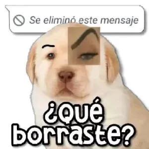 ¿Qué borraste? - getsticker.com