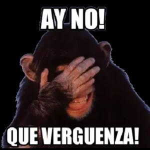 AY NO QUE VERGUENZA - getsticker.com