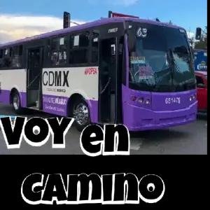 VOY en CAMINO - getsticker.com