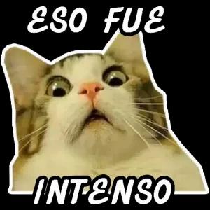 ESO FUE INTENSO - getsticker.com