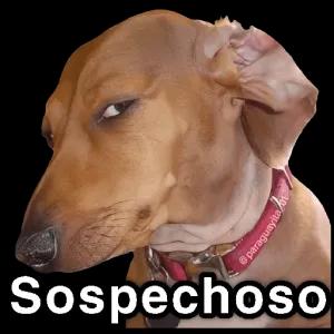 Sospechoso - getsticker.com