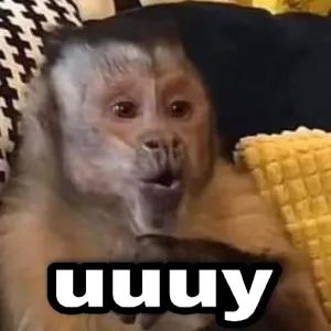 uuuy - getsticker.com