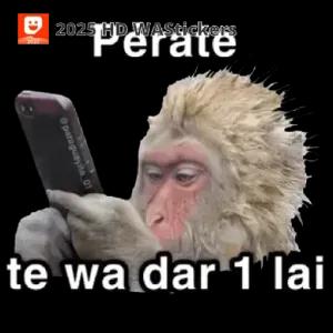 Perate te wa dar 1' lai - getsticker.com